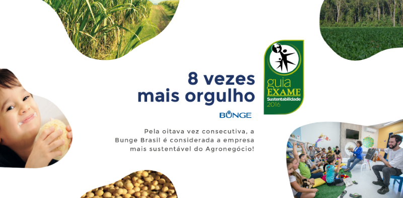 trabalhe conosco bunge